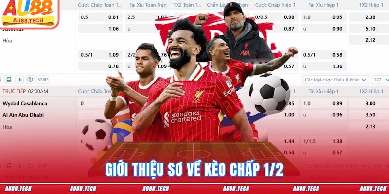 Giới thiệu sơ về kèo chấp 1/2