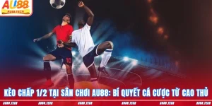 Kèo chấp 1-2 au88